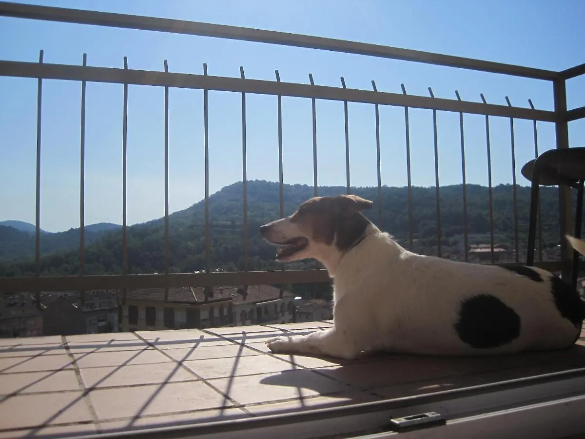 Hostal Sant Bernat Olot 2*,